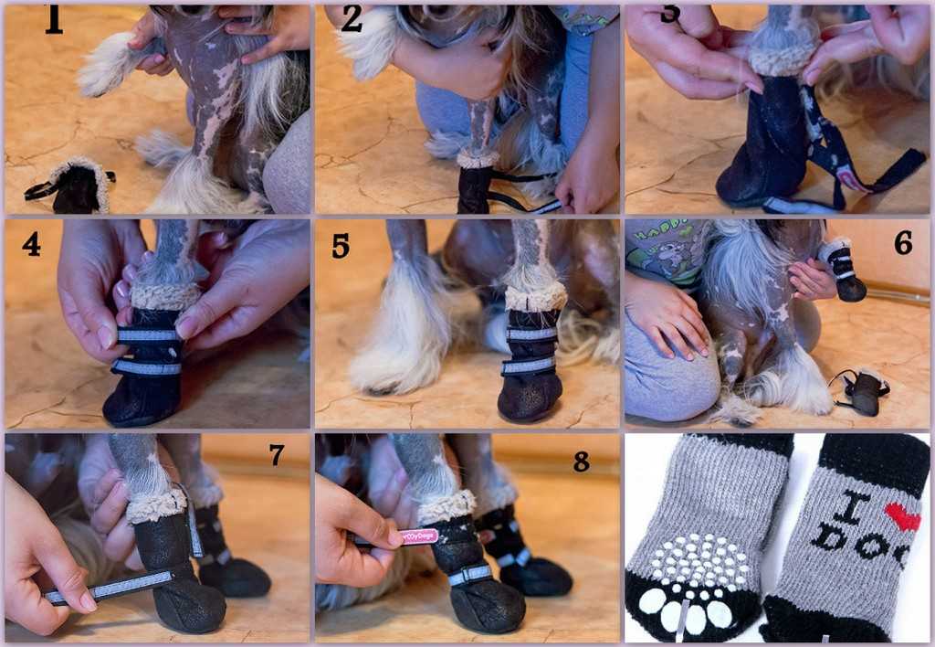 Как сделать обувь для собаки своими руками