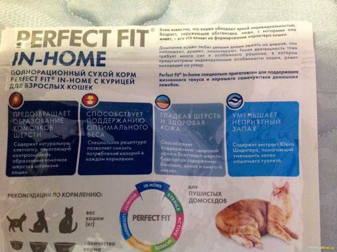 Корм для кошек перфект фит: отзывы и обзор состава | сайт «мурло»