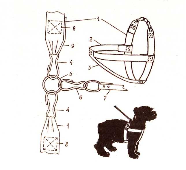 Ошейник для собаки своими руками: пошаговая инструкция