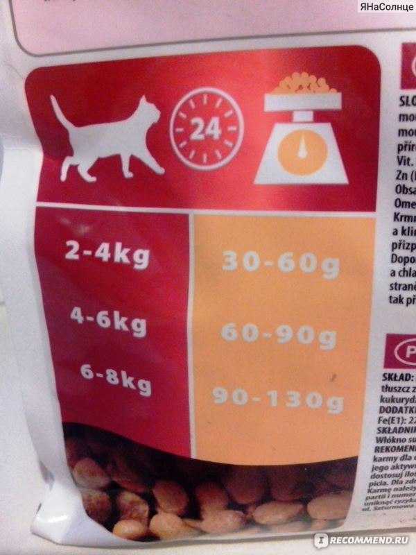 Сколько кормить собаку сухим кормом джек рассел терьер