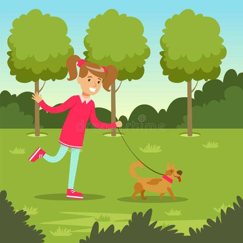 Учимся гулять с собакой правильно: законы и правила этикета