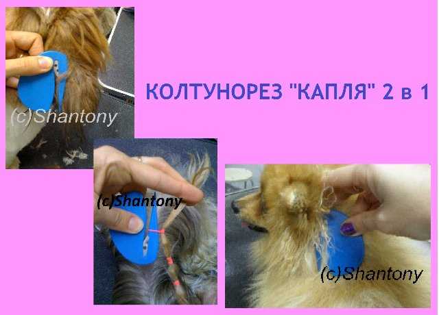 Уход за шерстью собаки: средства и инструменты для груминга | блог ветклиники "беланта"