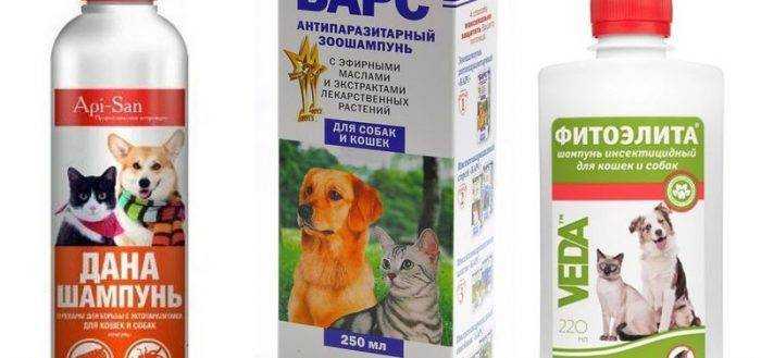 Барс (шампунь) для собак и щенков, кошек и котят | отзывы о применении препаратов для животных от ветеринаров и заводчиков