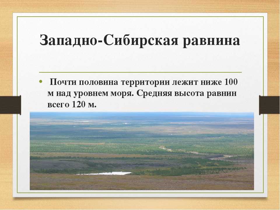 Западно-сибирская равнина. природа региона