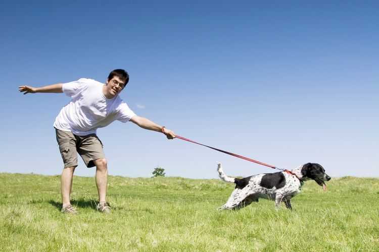 20 советов: как отучить собаку лаять