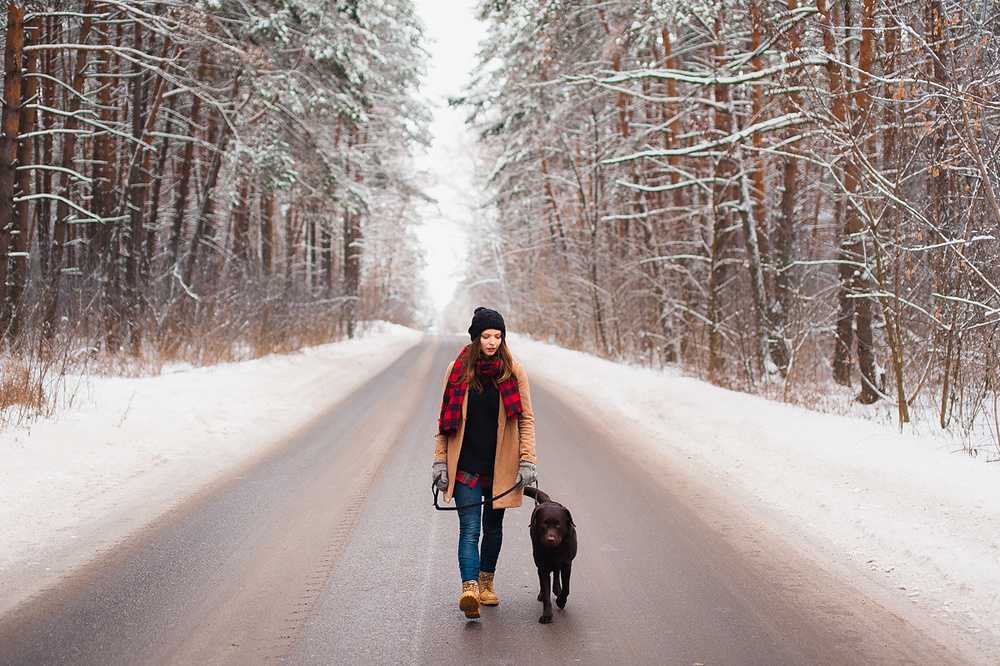 Учимся гулять с собакой правильно: в городе, лесу, парке, зимой или летом, правила безопасности
