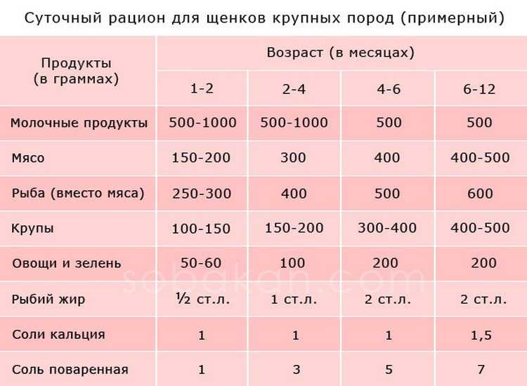 Как и чем кормить щенка пекинеса: в 1, 2, 3, 4 или 6 месяцев, примерное меню, режим и нормы кормления, витамины и добавки – про собак от а до я на glamour-dog.ru