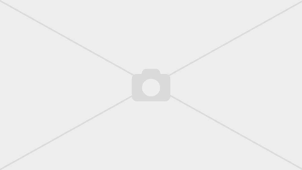 Фландрский бувье: фото, описание породы, характеристики