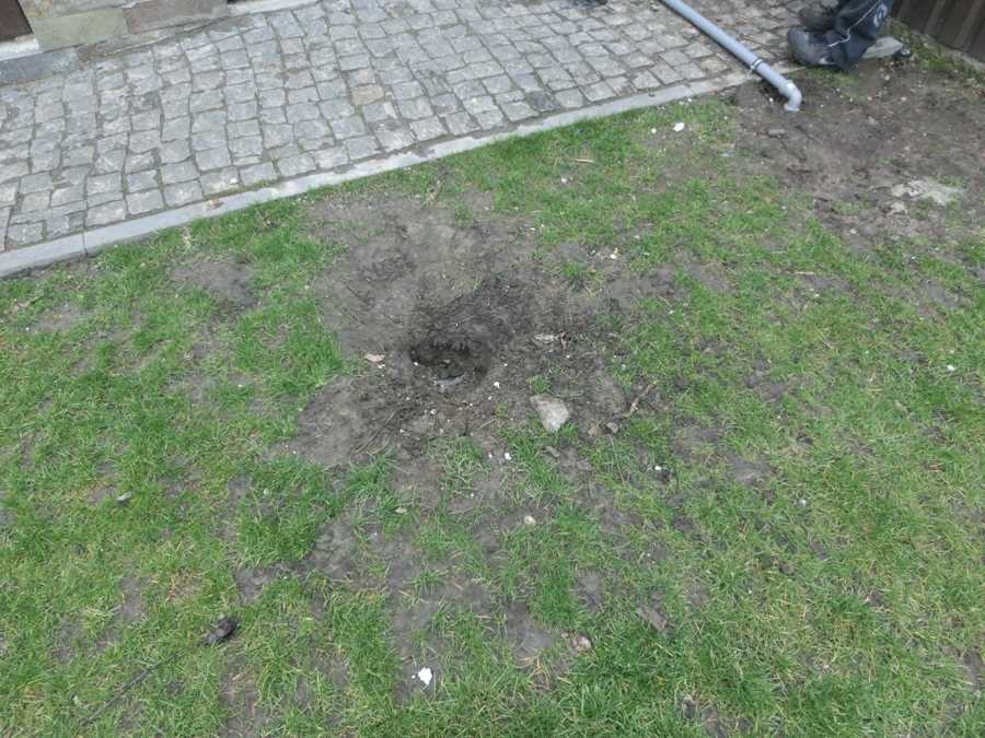 Как отучить собаку рыть ямы во дворе. к чему собака роет яму? почему собака роет ямы во дворе – приметы