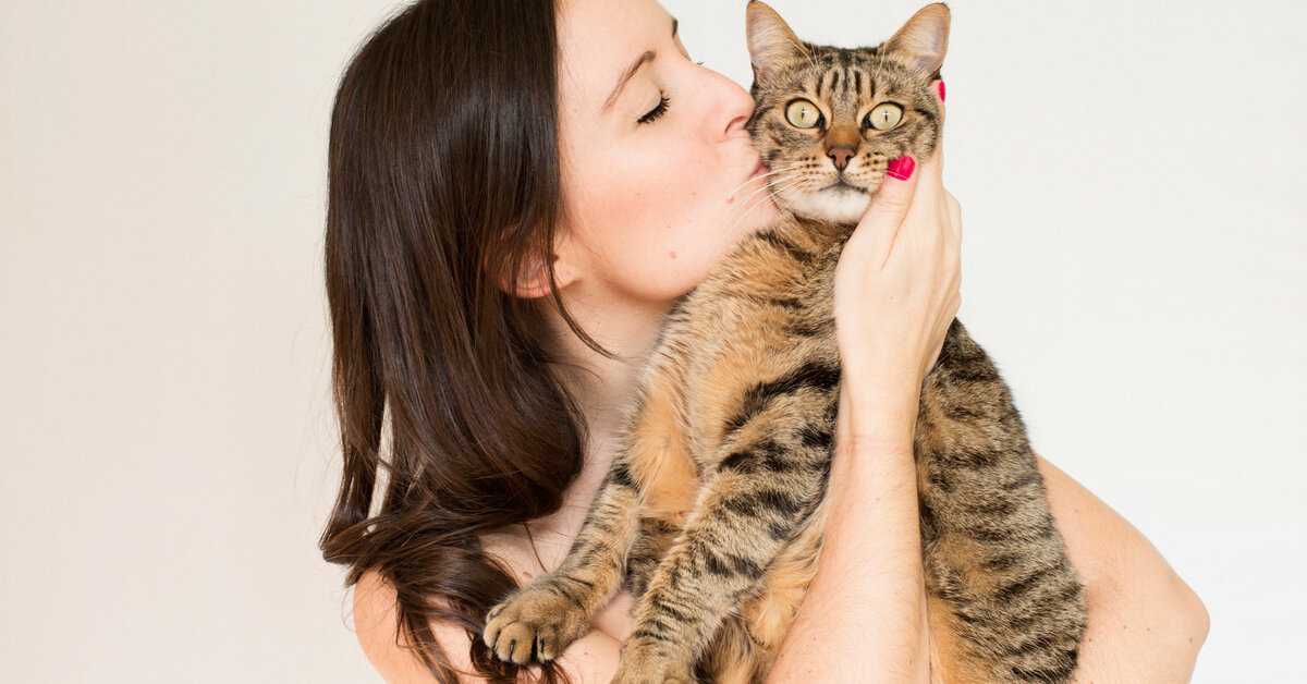 Причины почему кошки могут облизывать людей: их руки, ноги, лицо и другие примеры