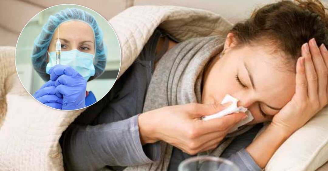 Могут ли домашние питомцы подхватить от нас простуду и другие инфекционные заболевания?