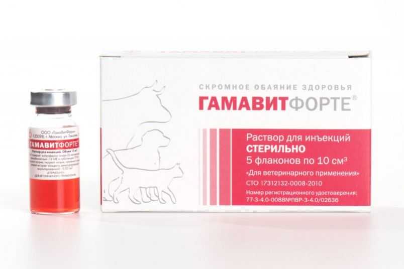 Приведены сведения о препарате гамавит, особенности его применения, собраны выдержки из инструкции, указаны дозы его кошкам, показания и противопоказания использования гамавита котам