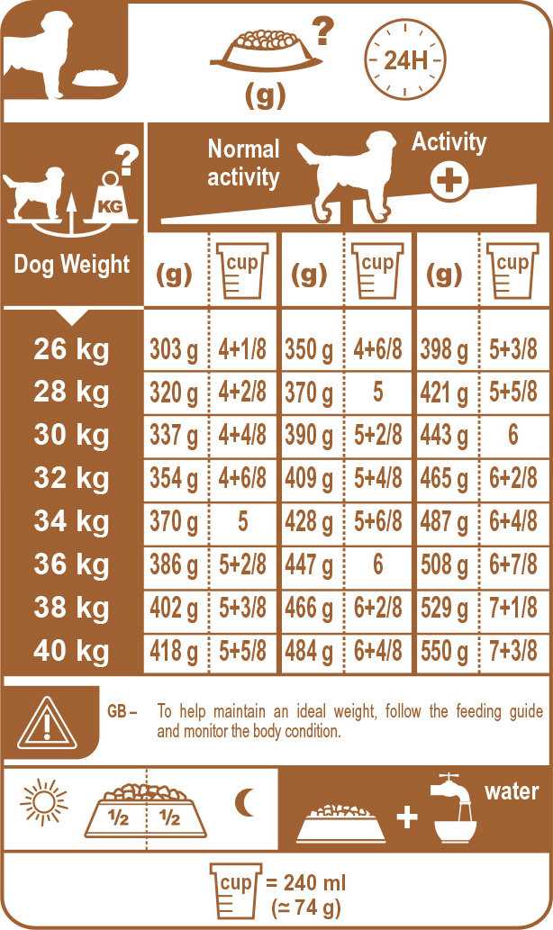 Нормы кормления собак сухим кормом - суточная дозировка по калорийности и бренду, режим питания