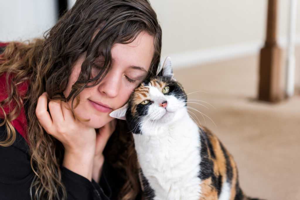 Как узнать, кого в семье больше любит кошка: признаки кошачьей любви