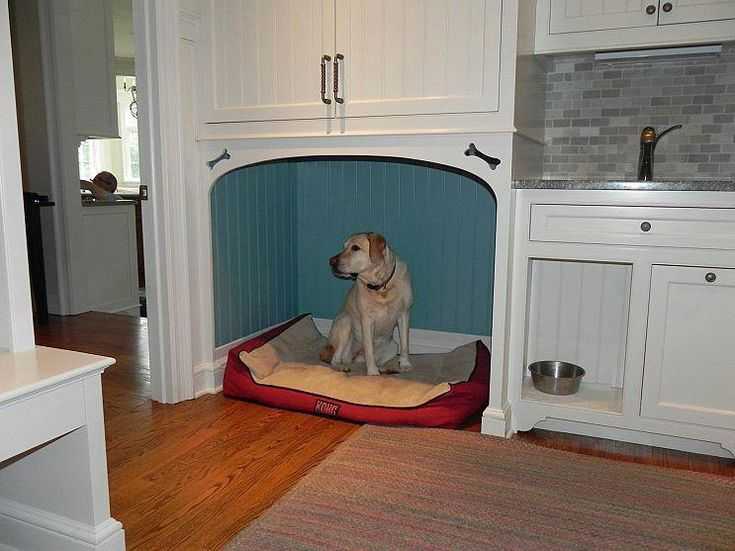 Как обустроить место для собаки в квартире или доме