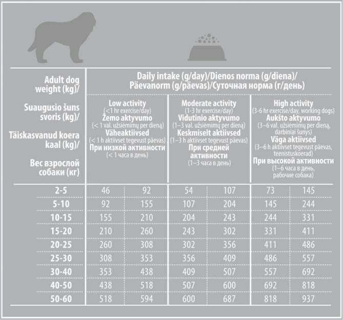 Режим кормления щенка: таблицы и графики кормления