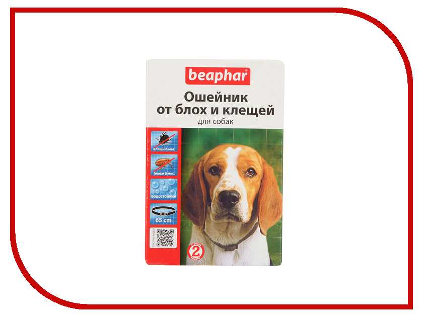 Ошейник от блох и клещей для собаки: разновидности и правила выбора, противопоказания, оценка эффективности, обзор популярных марок, отзывы