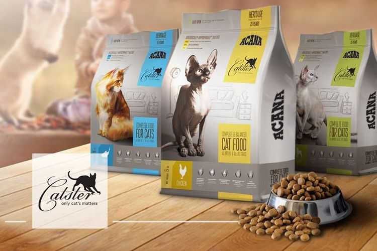 Холистик корма для собак и корма из натуральных ингредиентов | hill's