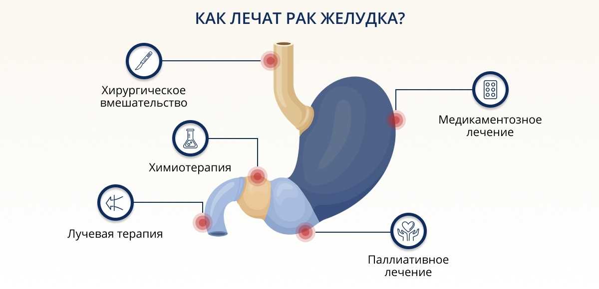 Как сделать:: уход за стерилизованными и кастрированными животными — ikirov.ru - энциклопедия товаров и услуг в кирове и кировской области