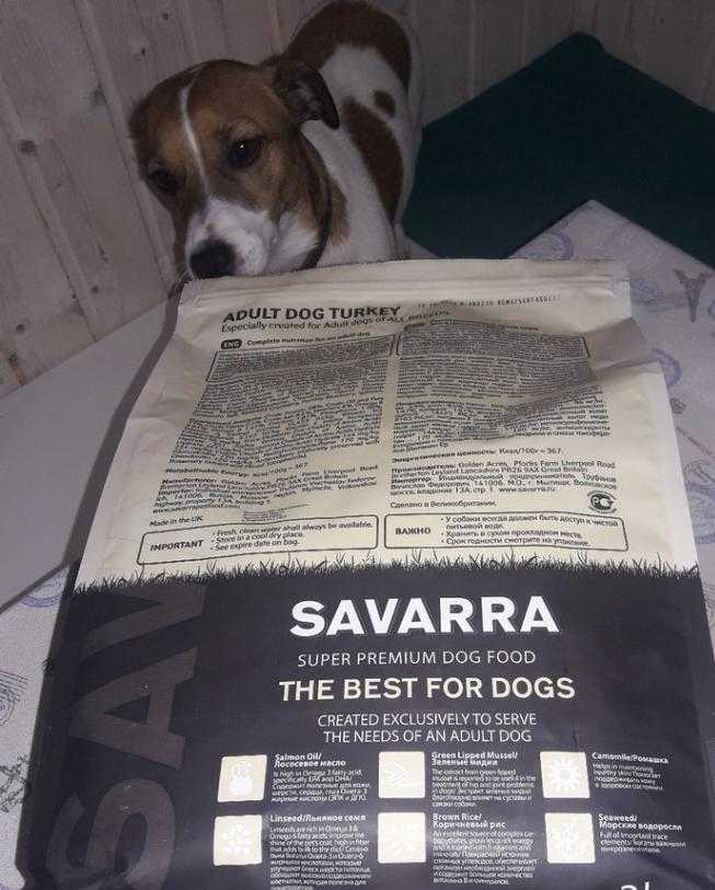 ᐉ обзор и отзывы корма для собак savarra - ➡ motildazoo.ru