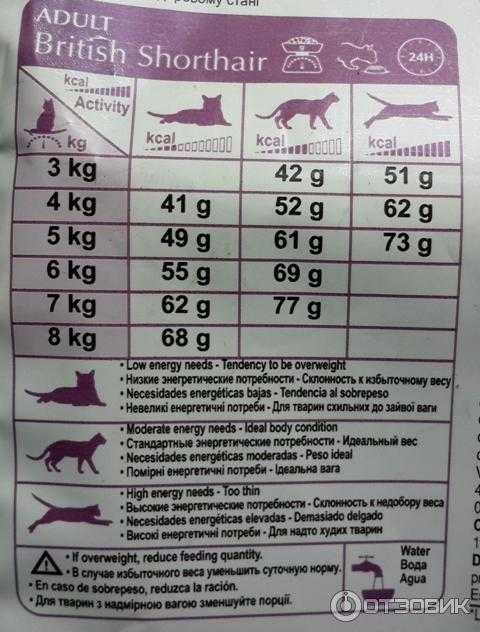 Расчет количества корма для собак (+ таблица)