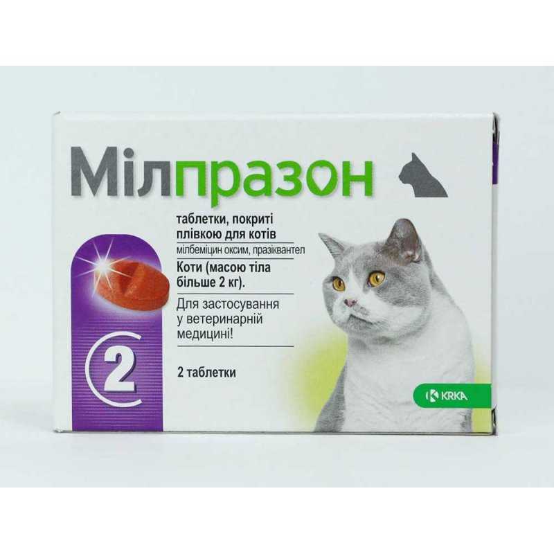 Купить лекарства кошки. Таблетки от глистов для котят 2 месяца. Таблетки от глистов для кошек и котят. КРКА Милпразон таблетки для котят и кошек до 2 кг. Глистогонные препараты для кошек таблетки.