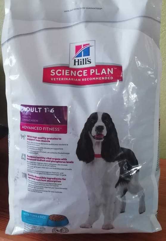 Холистик корма для собак и корма из натуральных ингредиентов