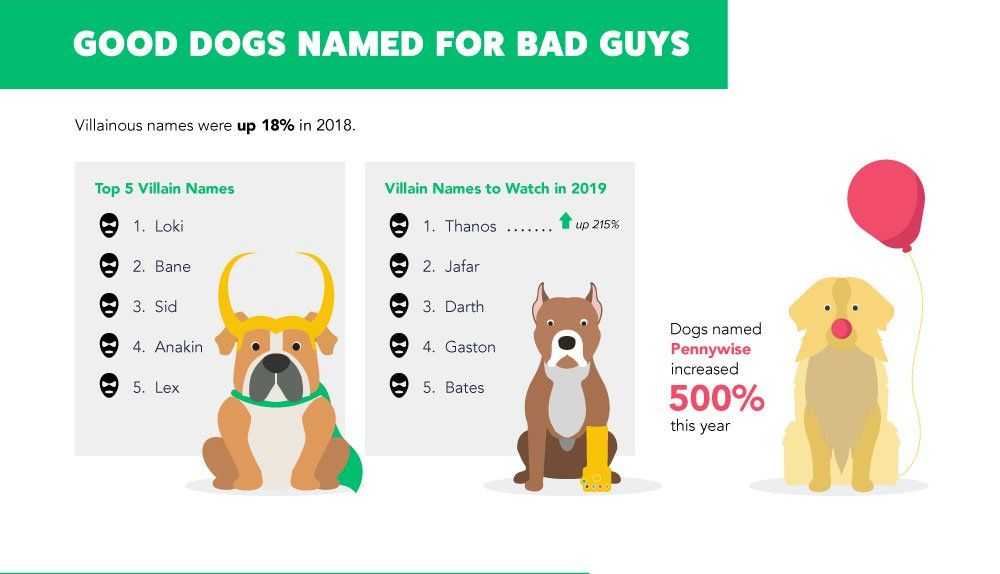 Рейтинг пяти самых знаменитых кличек для разных пород собак