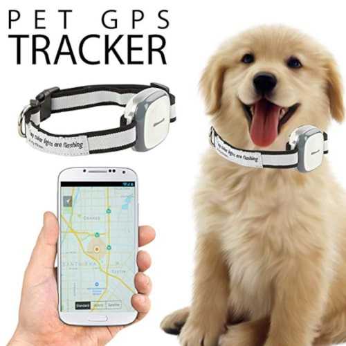 Gps трекер для собак: устройство, принцип работы, модели