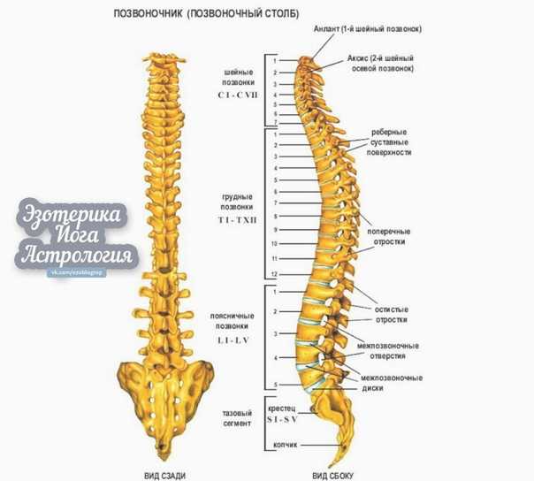 Лечение острых травм спинного мозга: переломов и вывихов