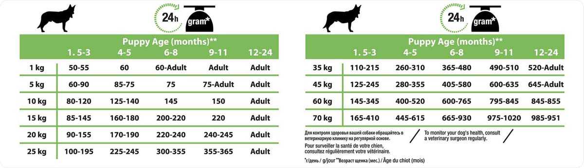 Расчет количества корма для собак (+ таблица): способы расчета, суточные нормы для щенков и взрослых собак
