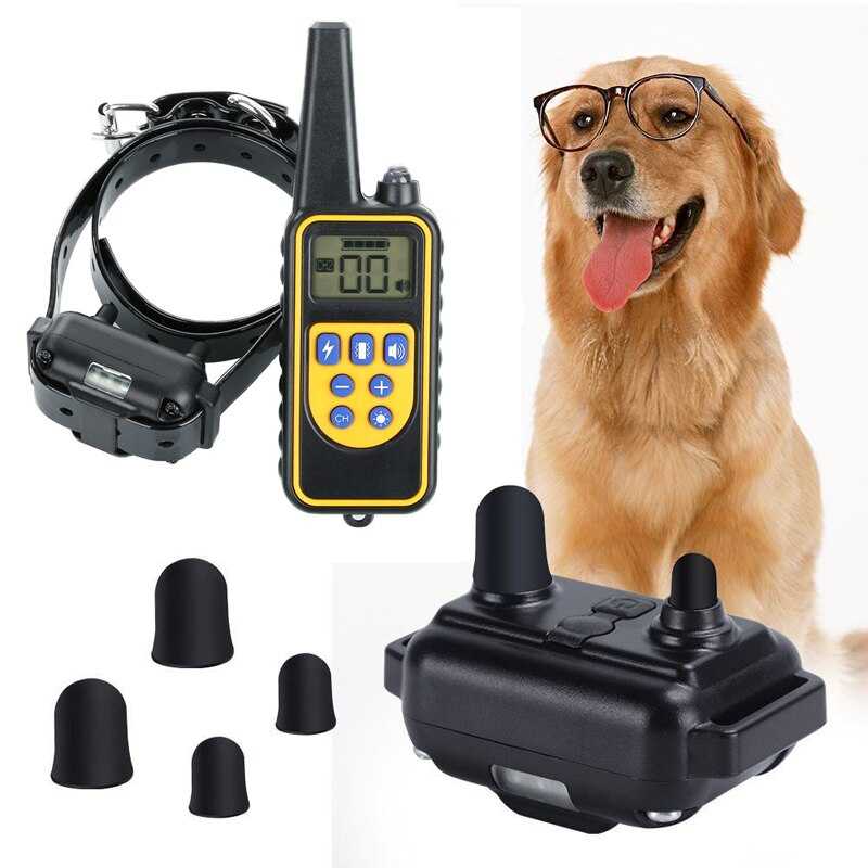 Электронный ошейник. практика применения радиоэлектронного ошейника для дрессировки собак. - читать статью.