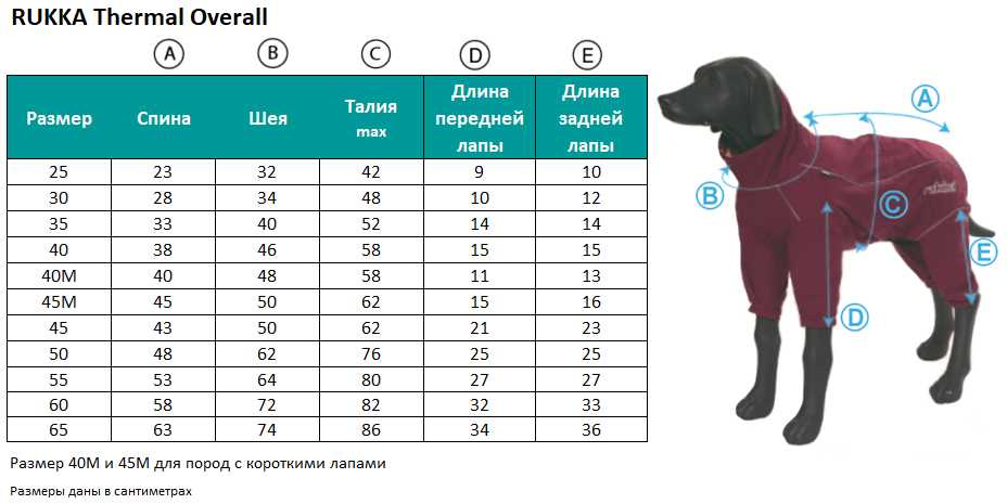 Размеры собак: как можно измерить рост взрослой собаки? как определить вес и размеры будущей взрослой собаки по щенку?