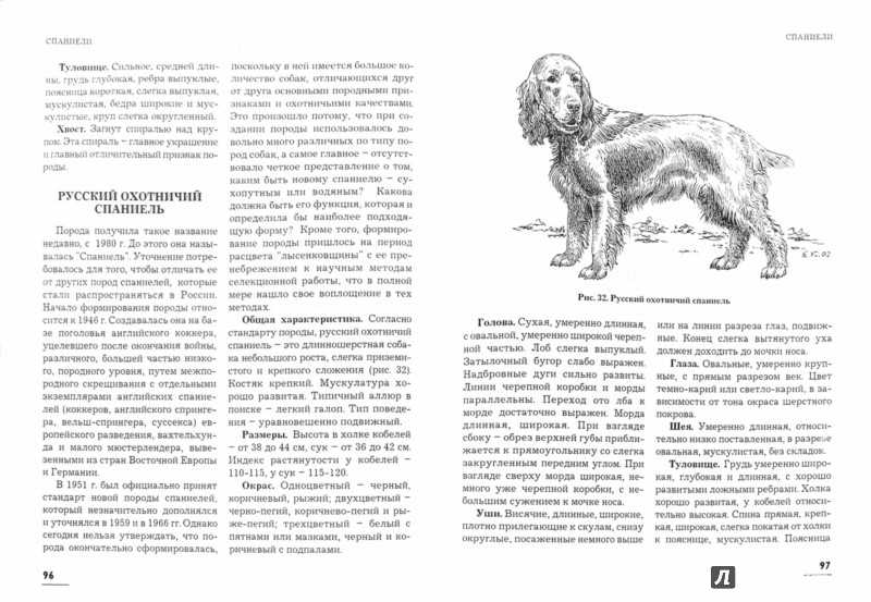 Норные собаки: классификация норных пород и описание