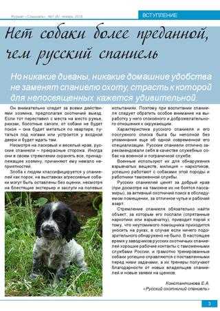 Русский охотничий спаниель собака. описание, особенности, виды, уход и цена породы
