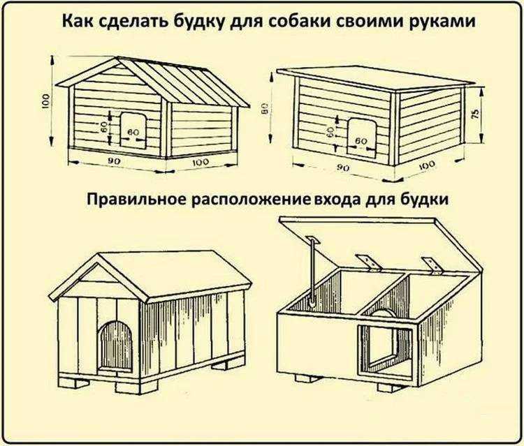 Вольер для собаки: 150 фото места постройки, выбор материалов, назначение и виды вольеров