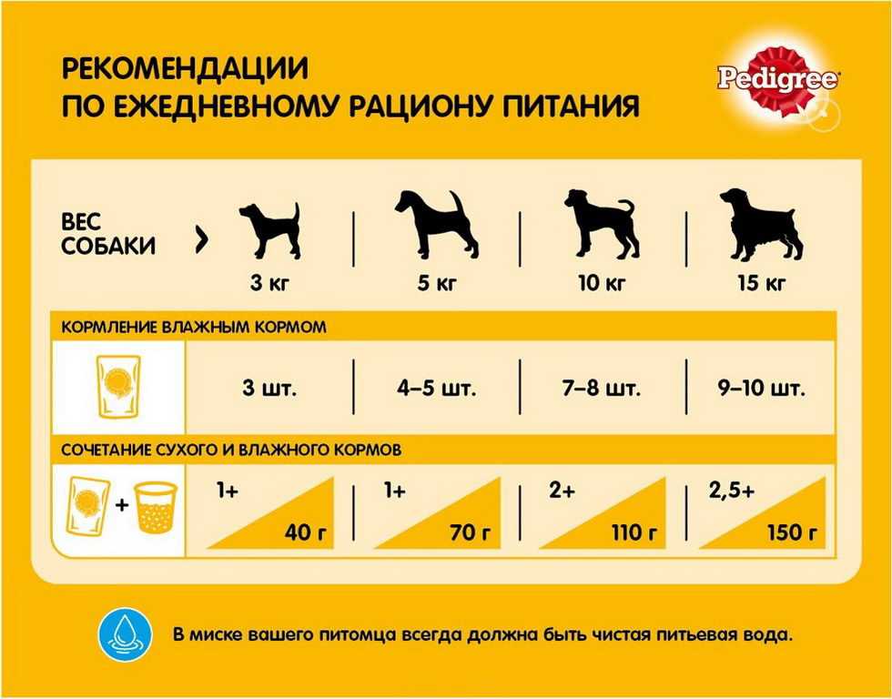 Натуральное кормление собак по весу и возрасту