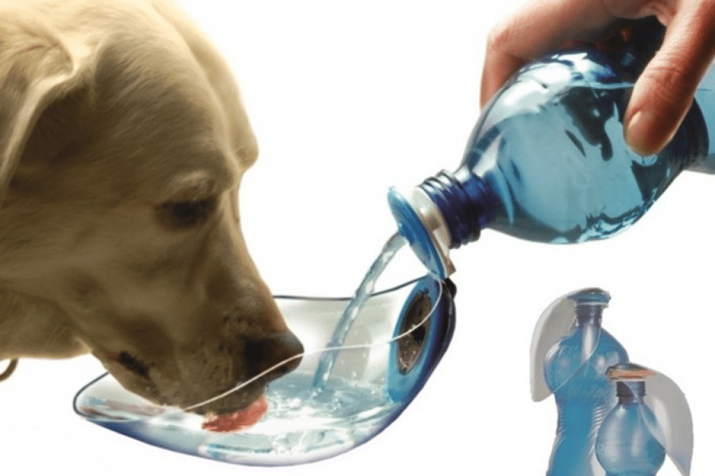 Собака пьет воду рисунок