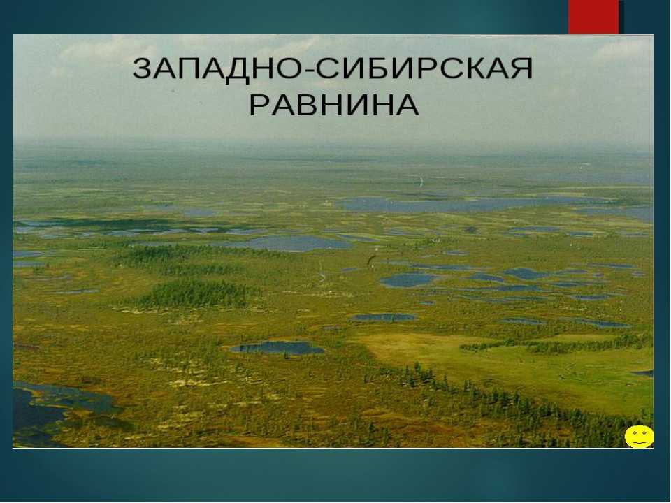 Какими полезными ископаемыми богата западно сибирская равнина?