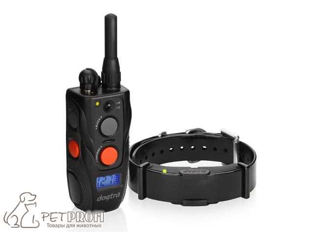 Электронный ошейник. практика применения радиоэлектронного ошейника для дрессировки собак.