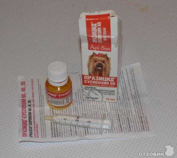 Глисты у собак: симптомы и лечение. средство от глистов у собак. | нвп «астрафарм»