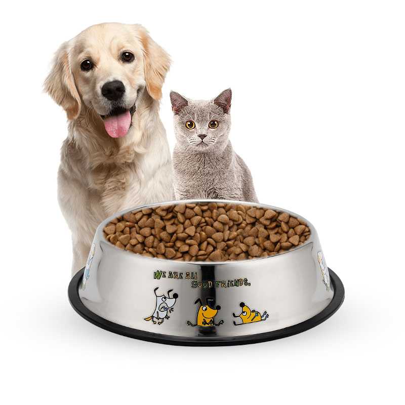 Можно ли включать в рацион собаки кошачьи корма? | блог ветклиники "беланта"