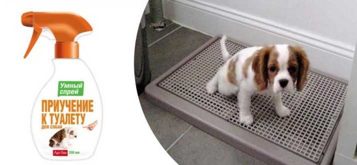 Эффективное руководство: как приучить щенка к туалету на пеленку в квартире