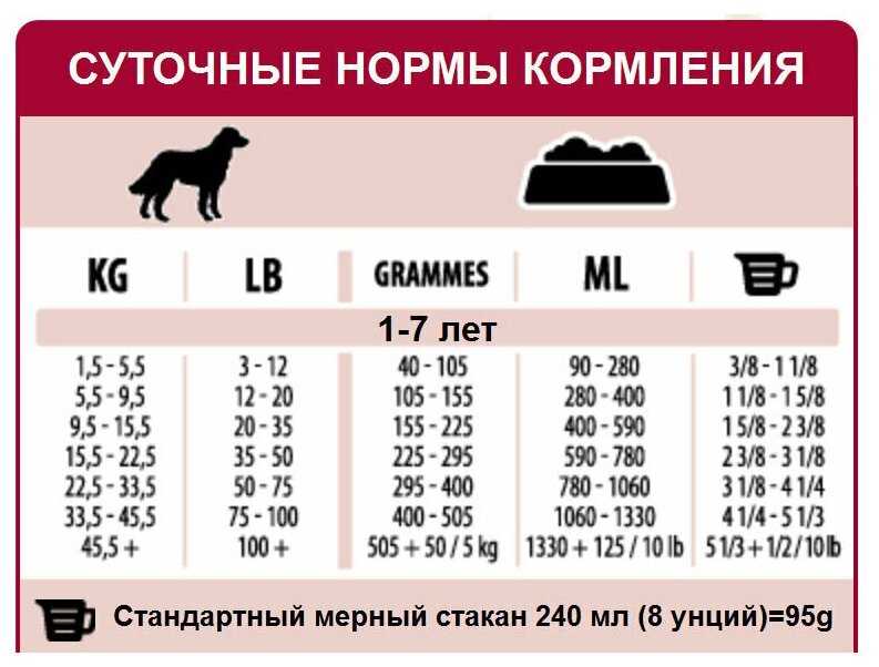 Норма сухого корма для щенков: таблица расчета, кратность и правила кормления