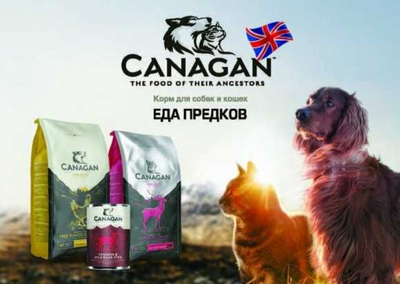 Корм для собак canagan: отзывы, разбор состава, цена - kotiko.ru