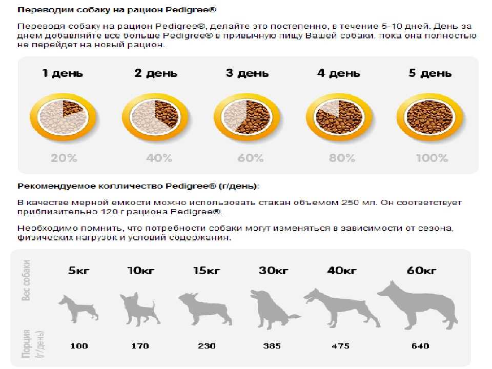 Как и чем кормить щенка французского бульдога: меню, нормы кормления в 1, 2, 3, 4 месяцев, витамины и добавки