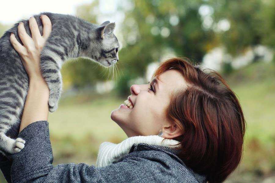 Почему нельзя обнимать котов и кошек | можно ли