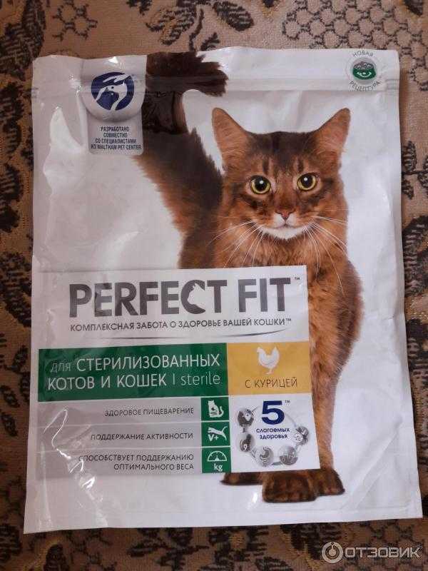 ᐉ можно ли кормить кастрированного кота рыбой – корм для стерилизованной кошки - zoomanji.ru