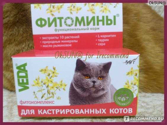 Мочекаменная болезнь у котов: симптомы и лечение — pet-mir.ru