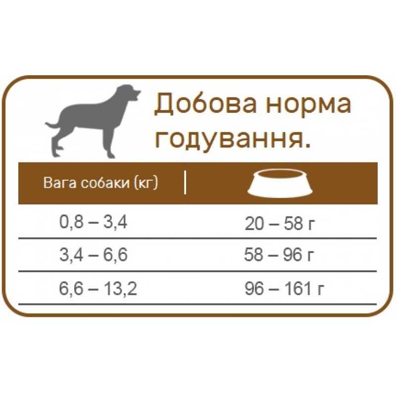 Дозировка сухого корма для собак: как определить, примеры